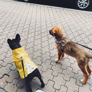 Meet your Posher, Kelsea